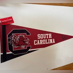 South Carolina wall Banner‎ Pennant Flag